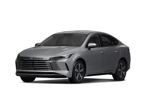 BYD Destroyer